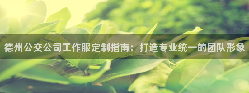头号玩家龙8国际